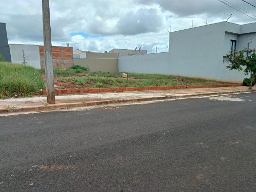 TERRENO no bairro PARK BAMBU II de ASSIS